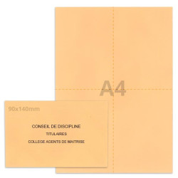 Kit élection conseil de discipline saumon