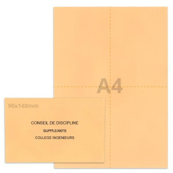 Kit élection conseil de discipline saumon