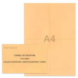 Kit élection conseil de discipline saumon