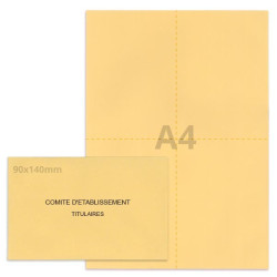 Kit élection comité d'établissement beige