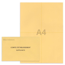 Kit élection comité d'établissement beige