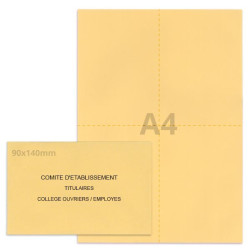 Kit élection comité d'établissement beige