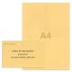 Kit élection comité d'établissement beige