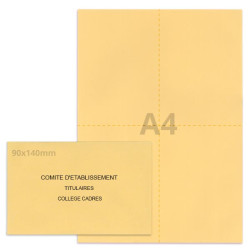 Kit élection comité d'établissement beige