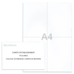 Kit élection comité d'établissement blanc