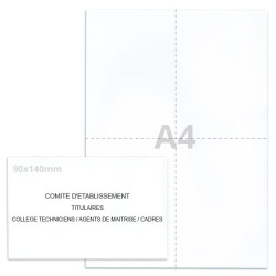 Kit élection comité d'établissement blanc