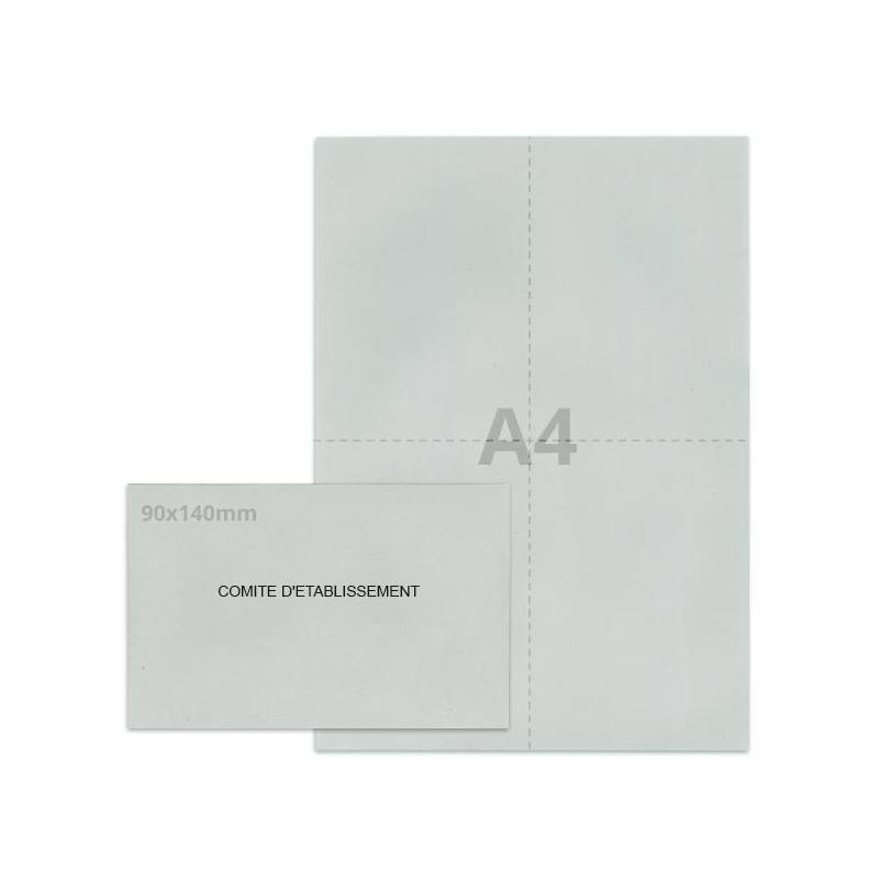 Kit élection comité d'établissement gris Kit élection comité d'établissement gris