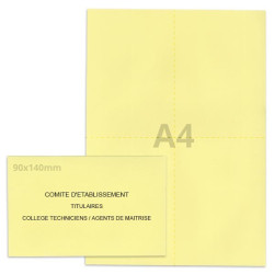 Kit élection comité d'établissement jaune clair