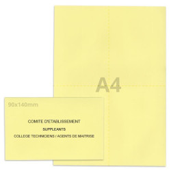 Kit élection comité d'établissement jaune clair