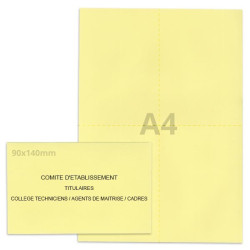 Kit élection comité d'établissement jaune clair