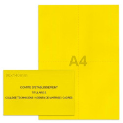 Kit élection comité d'établissement jaune vif