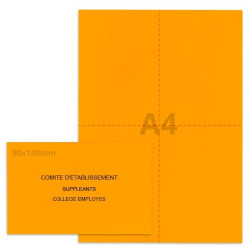Kit élection comité d'établissement orange