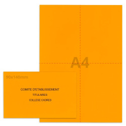 Kit élection comité d'établissement orange