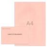 Kit élection comité d'établissement rose clair Kit élection comité d'établissement rose clair