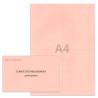 Kit élection comité d'établissement rose clair Kit élection comité d'établissement rose clair