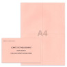 Kit élection comité d'établissement rose clair Kit élection comité d'établissement rose clair