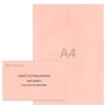Kit élection comité d'établissement rose clair Kit élection comité d'établissement rose clair