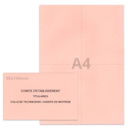 Kit élection comité d'établissement rose clair