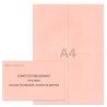 Kit élection comité d'établissement rose clair Kit élection comité d'établissement rose clair