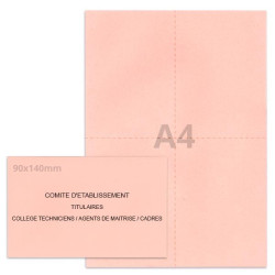 Kit élection comité d'établissement rose clair