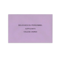 Délégués du Personnel Lilas