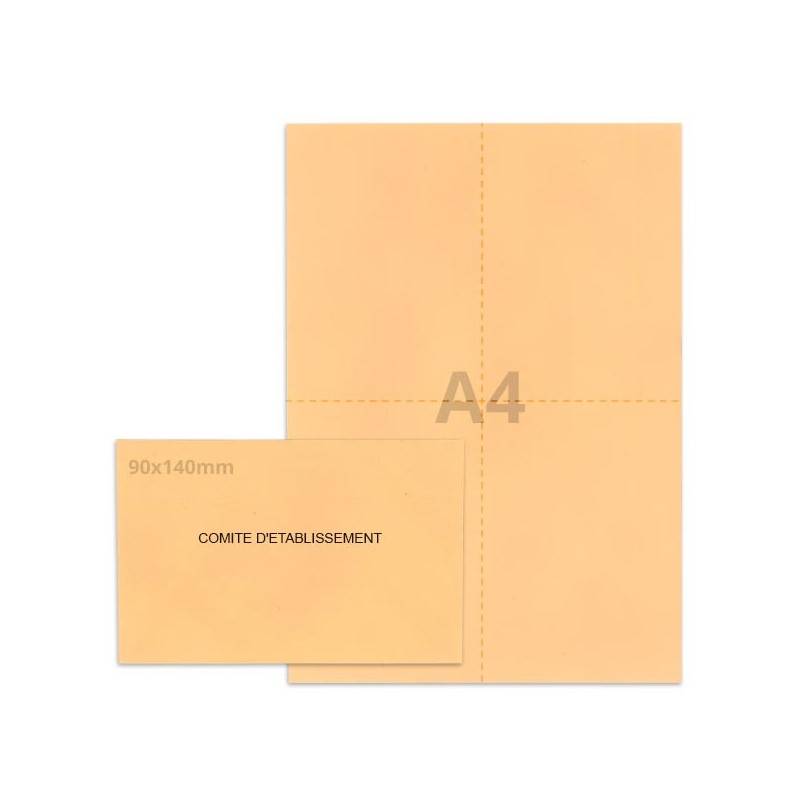 Kit élection comité d'établissement saumon