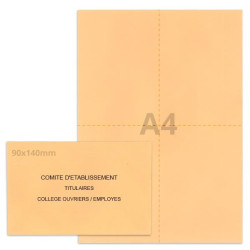 Kit élection comité d'établissement saumon