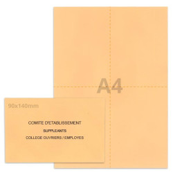 Kit élection comité d'établissement saumon