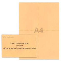 Kit élection comité d'établissement saumon