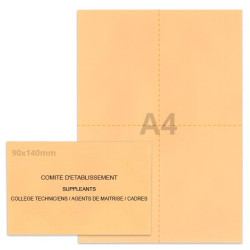 Kit élection comité d'établissement saumon