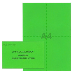 Kit élection comité d'établissement vert vif