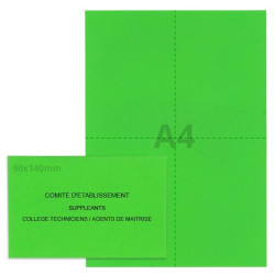Kit élection comité d'établissement vert vif