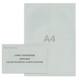 Kit élection comité d'entreprise gris