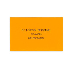 Délégués du Personnel Orange