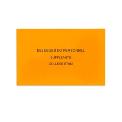 Délégués du Personnel Orange