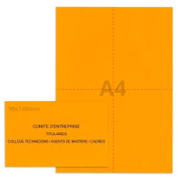 Kit élection comité d'entreprise orange