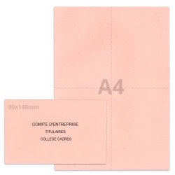 Kit élection comité d'entreprise rose clair