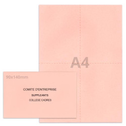 Kit élection comité d'entreprise rose clair