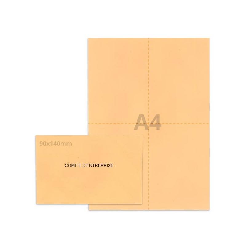 Kit élection comité d'entreprise saumon