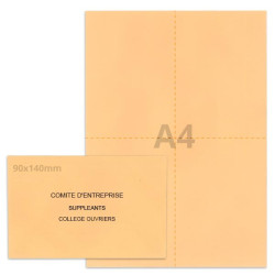 Kit élection comité d'entreprise saumon