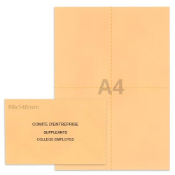 Kit élection comité d'entreprise saumon