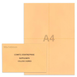 Kit élection comité d'entreprise saumon