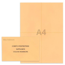 Kit élection comité d'entreprise saumon