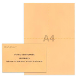 Kit élection comité d'entreprise saumon