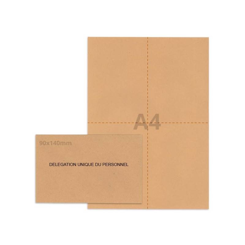 Kit élection DUP bulle