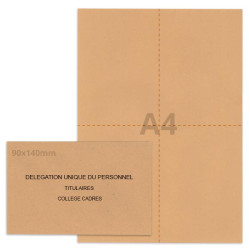 Kit élection DUP bulle