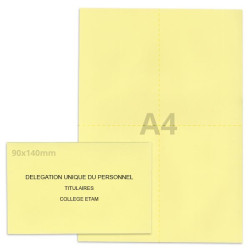 Kit élection DUP jaune clair