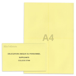 Kit élection DUP jaune clair