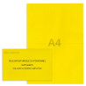 Kit élection DUP jaune vif