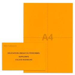 Kit élection DUP orange